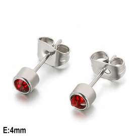 Stainless Steel Earring