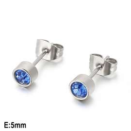 Stainless Steel Earring