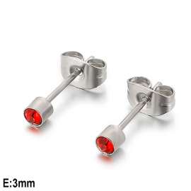 Stainless Steel Earring