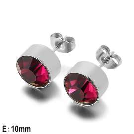 Stainless Steel Earring