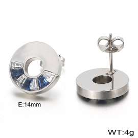 Stainless Steel Earring