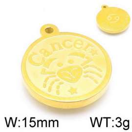 Stainless Steel Charm