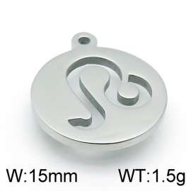 Stainless Steel Charm