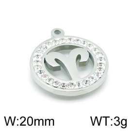 Stainless Steel Charm