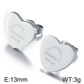 Stainless Steel Earring