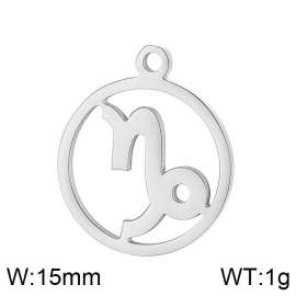 Stainless Steel Charm