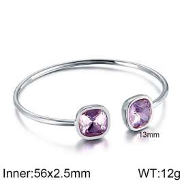 Stainless Steel Stone Bangle