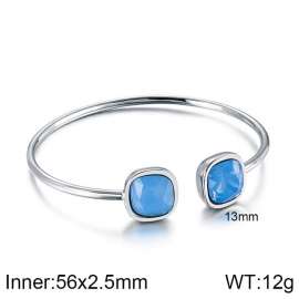 Stainless Steel Stone Bangle