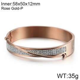 Stainless Steel Stone Bangle