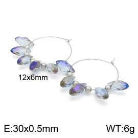 Stainless Steel Stone&Crystal Earring
