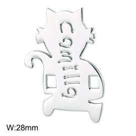 Stainless Steel Charms