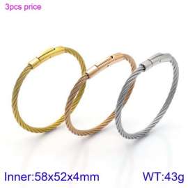 Stainless Steel Wire Bangle