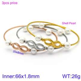 Stainless Steel Wire Bangle