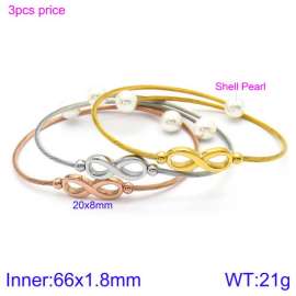 Stainless Steel Wire Bangle