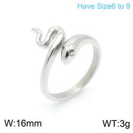 Stainless Steel Special Ring