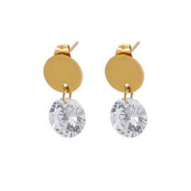 Stainless Steel Stone&Crystal Earring