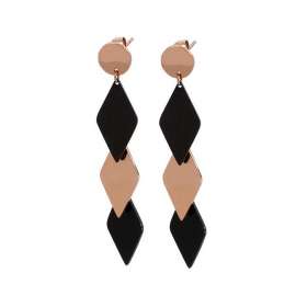 Stainless Steel Black-plating Earring