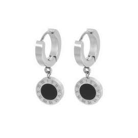 Stainless Steel Earring